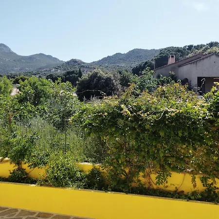 Villa Amarena